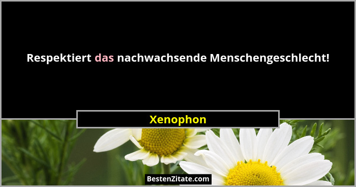 Respektiert das nachwachsende Menschengeschlecht!... - Xenophon