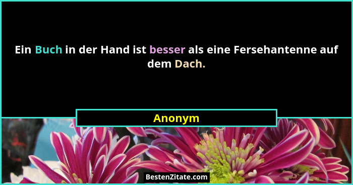 Ein Buch in der Hand ist besser als eine Fersehantenne auf dem Dach.... - Anonym