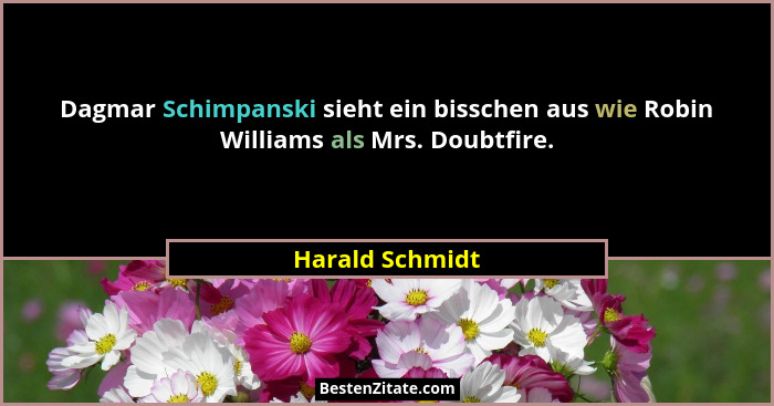 Dagmar Schimpanski sieht ein bisschen aus wie Robin Williams als Mrs. Doubtfire.... - Harald Schmidt