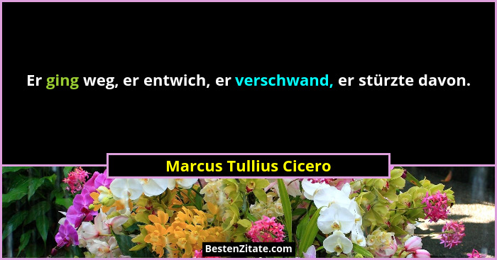 Er ging weg, er entwich, er verschwand, er stürzte davon.... - Marcus Tullius Cicero
