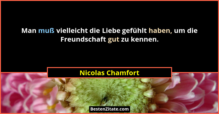 Man muß vielleicht die Liebe gefühlt haben, um die Freundschaft gut zu kennen.... - Nicolas Chamfort
