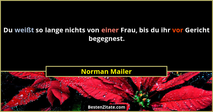 Du weißt so lange nichts von einer Frau, bis du ihr vor Gericht begegnest.... - Norman Mailer