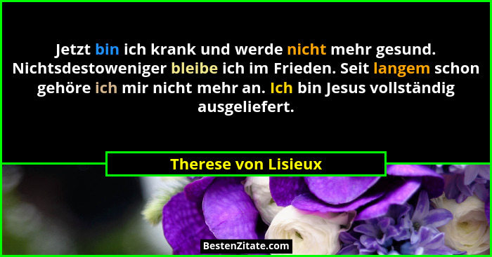 Jetzt bin ich krank und werde nicht mehr gesund. Nichtsdestoweniger bleibe ich im Frieden. Seit langem schon gehöre ich mir nich... - Therese von Lisieux