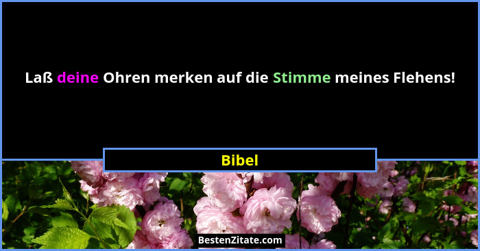 Laß deine Ohren merken auf die Stimme meines Flehens!... - Bibel