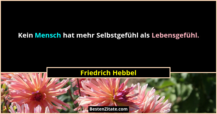 Kein Mensch hat mehr Selbstgefühl als Lebensgefühl.... - Friedrich Hebbel