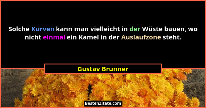 Solche Kurven kann man vielleicht in der Wüste bauen, wo nicht einmal ein Kamel in der Auslaufzone steht.... - Gustav Brunner