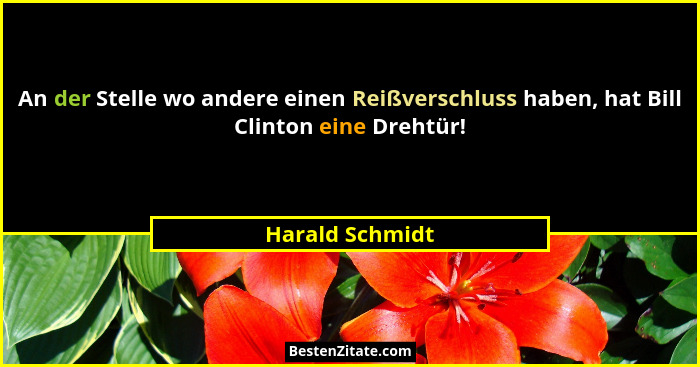 An der Stelle wo andere einen Reißverschluss haben, hat Bill Clinton eine Drehtür!... - Harald Schmidt