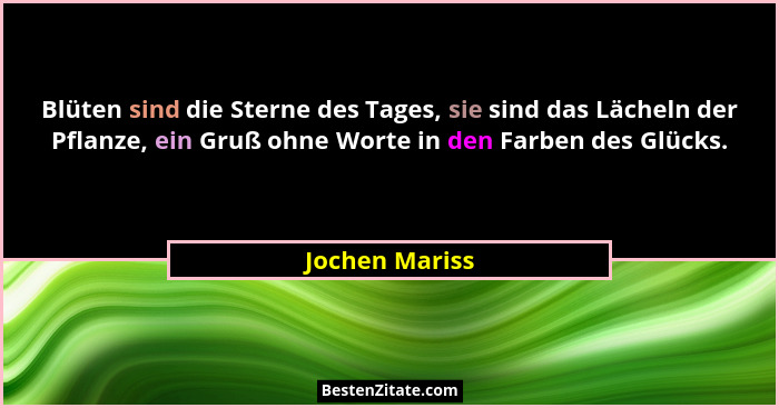 Blüten sind die Sterne des Tages, sie sind das Lächeln der Pflanze, ein Gruß ohne Worte in den Farben des Glücks.... - Jochen Mariss