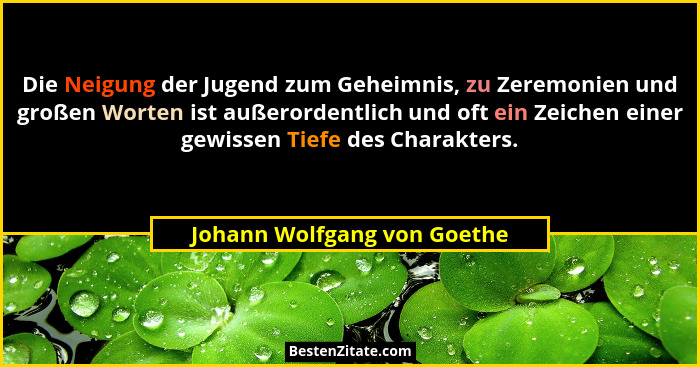 Die Neigung der Jugend zum Geheimnis, zu Zeremonien und großen Worten ist außerordentlich und oft ein Zeichen einer gewis... - Johann Wolfgang von Goethe