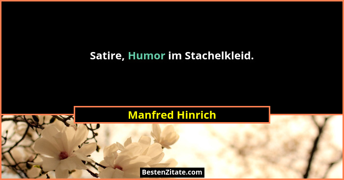 Satire, Humor im Stachelkleid.... - Manfred Hinrich