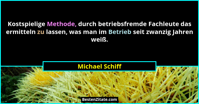 Kostspielige Methode, durch betriebsfremde Fachleute das ermitteln zu lassen, was man im Betrieb seit zwanzig Jahren weiß.... - Michael Schiff