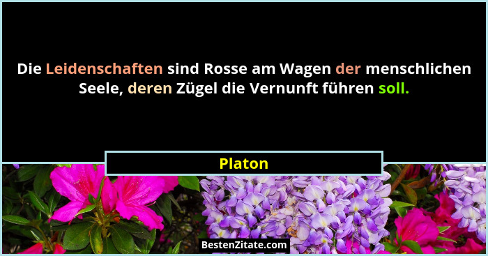 Die Leidenschaften sind Rosse am Wagen der menschlichen Seele, deren Zügel die Vernunft führen soll.... - Platon