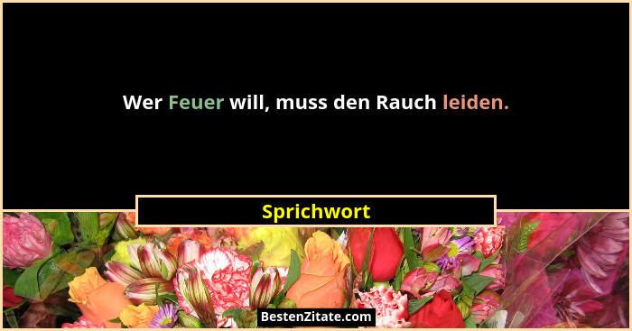 Wer Feuer will, muss den Rauch leiden.... - Sprichwort