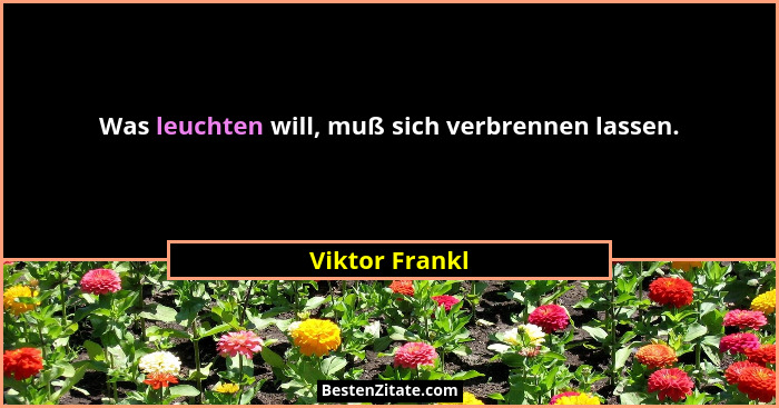 Was leuchten will, muß sich verbrennen lassen.... - Viktor Frankl