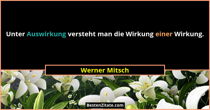 Unter Auswirkung versteht man die Wirkung einer Wirkung.... - Werner Mitsch