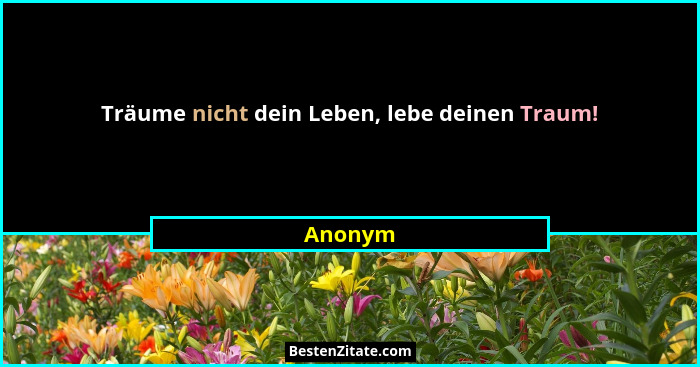 Träume nicht dein Leben, lebe deinen Traum!... - Anonym