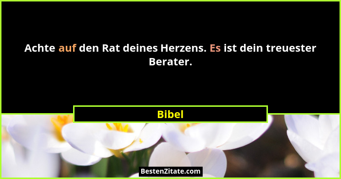 Achte auf den Rat deines Herzens. Es ist dein treuester Berater.... - Bibel