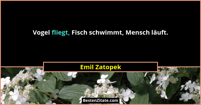 Vogel fliegt, Fisch schwimmt, Mensch läuft.... - Emil Zatopek