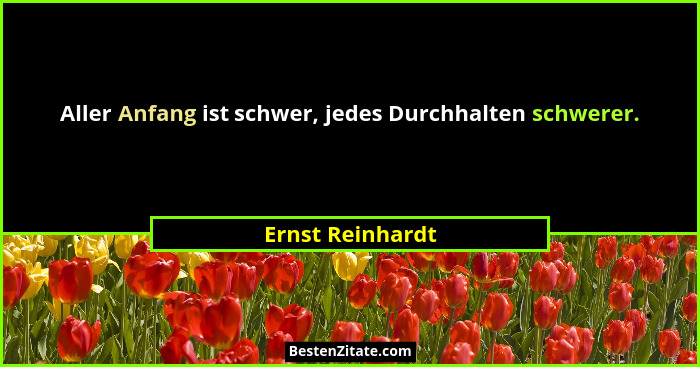 Aller Anfang ist schwer, jedes Durchhalten schwerer.... - Ernst Reinhardt