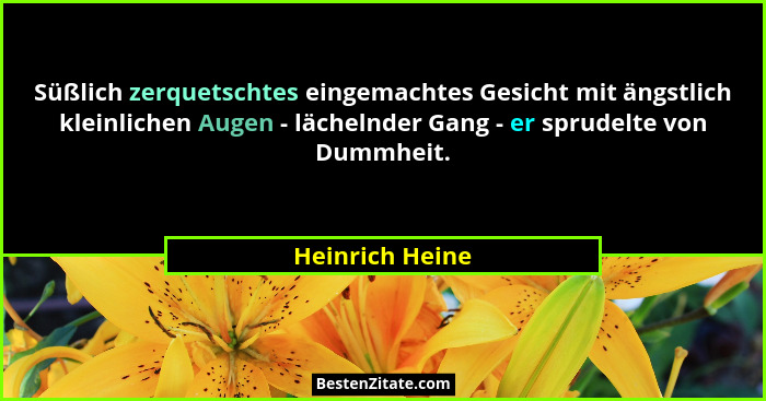 Süßlich zerquetschtes eingemachtes Gesicht mit ängstlich kleinlichen Augen - lächelnder Gang - er sprudelte von Dummheit.... - Heinrich Heine