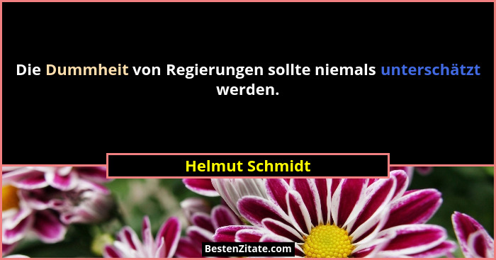 Die Dummheit von Regierungen sollte niemals unterschätzt werden.... - Helmut Schmidt