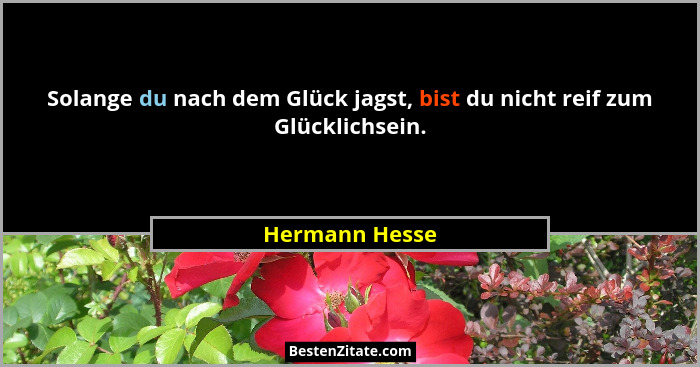 Solange du nach dem Glück jagst, bist du nicht reif zum Glücklichsein.... - Hermann Hesse