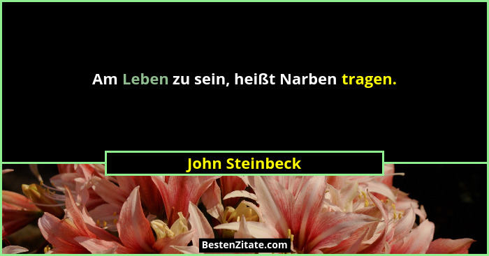 Am Leben zu sein, heißt Narben tragen.... - John Steinbeck