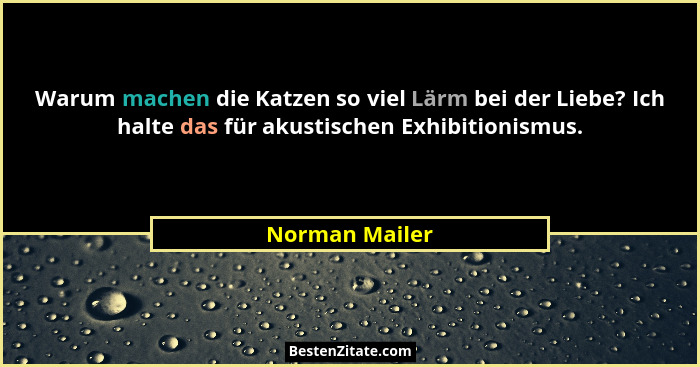 Warum machen die Katzen so viel Lärm bei der Liebe? Ich halte das für akustischen Exhibitionismus.... - Norman Mailer