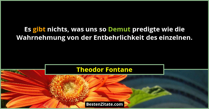 Es gibt nichts, was uns so Demut predigte wie die Wahrnehmung von der Entbehrlichkeit des einzelnen.... - Theodor Fontane