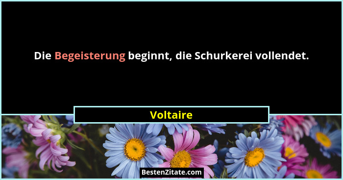Die Begeisterung beginnt, die Schurkerei vollendet.... - Voltaire