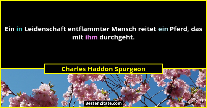 Ein in Leidenschaft entflammter Mensch reitet ein Pferd, das mit ihm durchgeht.... - Charles Haddon Spurgeon