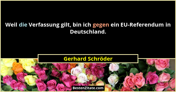 Weil die Verfassung gilt, bin ich gegen ein EU-Referendum in Deutschland.... - Gerhard Schröder