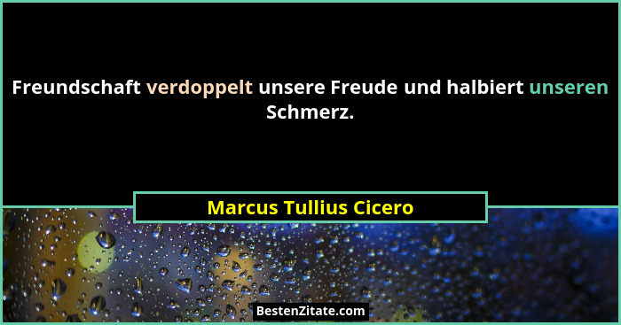 Freundschaft verdoppelt unsere Freude und halbiert unseren Schmerz.... - Marcus Tullius Cicero