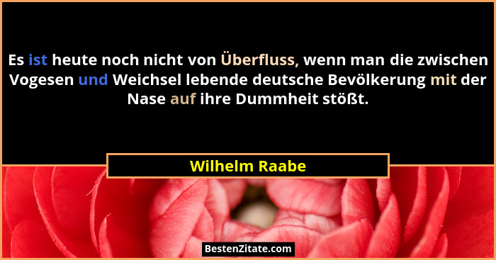 Es ist heute noch nicht von Überfluss, wenn man die zwischen Vogesen und Weichsel lebende deutsche Bevölkerung mit der Nase auf ihre D... - Wilhelm Raabe