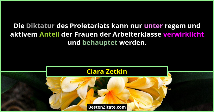Die Diktatur des Proletariats kann nur unter regem und aktivem Anteil der Frauen der Arbeiterklasse verwirklicht und behauptet werden.... - Clara Zetkin