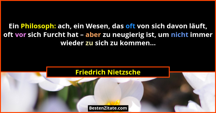 Ein Philosoph: ach, ein Wesen, das oft von sich davon läuft, oft vor sich Furcht hat – aber zu neugierig ist, um nicht immer wie... - Friedrich Nietzsche