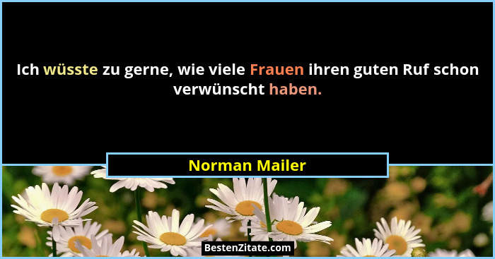 Ich wüsste zu gerne, wie viele Frauen ihren guten Ruf schon verwünscht haben.... - Norman Mailer