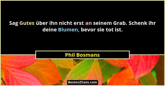 Sag Gutes über ihn nicht erst an seinem Grab. Schenk ihr deine Blumen, bevor sie tot ist.... - Phil Bosmans