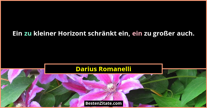 Ein zu kleiner Horizont schränkt ein, ein zu großer auch.... - Darius Romanelli