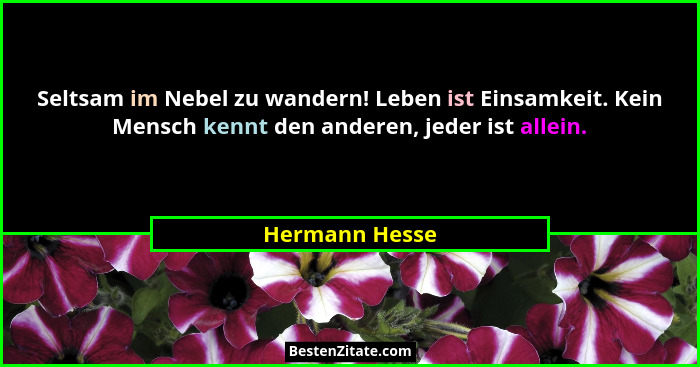 Seltsam im Nebel zu wandern! Leben ist Einsamkeit. Kein Mensch kennt den anderen, jeder ist allein.... - Hermann Hesse