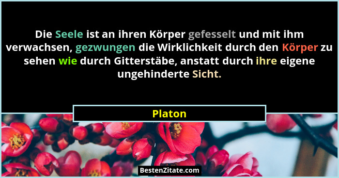 Die Seele ist an ihren Körper gefesselt und mit ihm verwachsen, gezwungen die Wirklichkeit durch den Körper zu sehen wie durch Gitterstäbe, a... - Platon