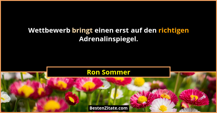 Wettbewerb bringt einen erst auf den richtigen Adrenalinspiegel.... - Ron Sommer