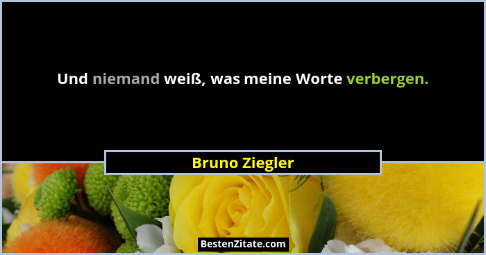 Und niemand weiß, was meine Worte verbergen.... - Bruno Ziegler