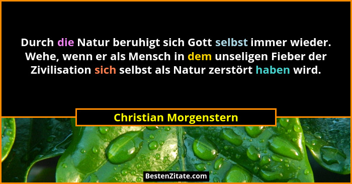 Durch die Natur beruhigt sich Gott selbst immer wieder. Wehe, wenn er als Mensch in dem unseligen Fieber der Zivilisation sich... - Christian Morgenstern