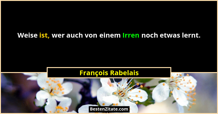 Weise ist, wer auch von einem Irren noch etwas lernt.... - François Rabelais