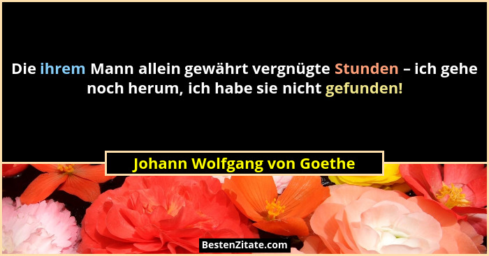 Die ihrem Mann allein gewährt vergnügte Stunden – ich gehe noch herum, ich habe sie nicht gefunden!... - Johann Wolfgang von Goethe