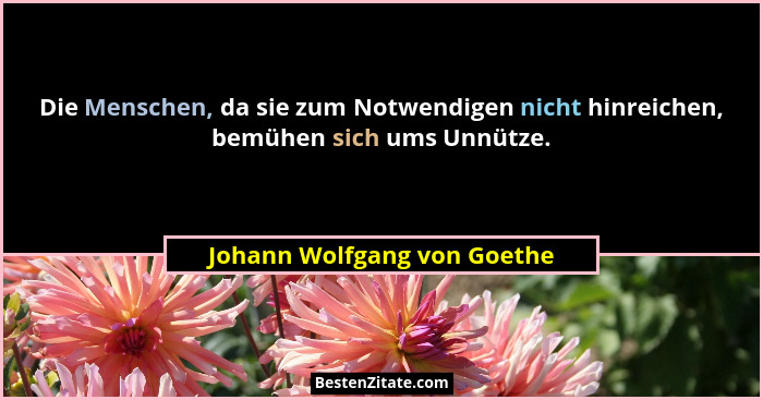 Die Menschen, da sie zum Notwendigen nicht hinreichen, bemühen sich ums Unnütze.... - Johann Wolfgang von Goethe