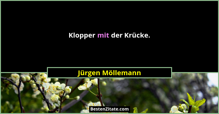 Klopper mit der Krücke.... - Jürgen Möllemann