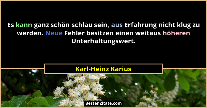 Es kann ganz schön schlau sein, aus Erfahrung nicht klug zu werden. Neue Fehler besitzen einen weitaus höheren Unterhaltungswert.... - Karl-Heinz Karius