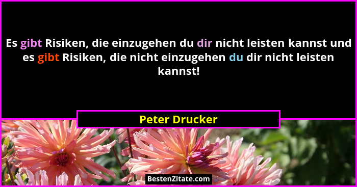 Es gibt Risiken, die einzugehen du dir nicht leisten kannst und es gibt Risiken, die nicht einzugehen du dir nicht leisten kannst!... - Peter Drucker